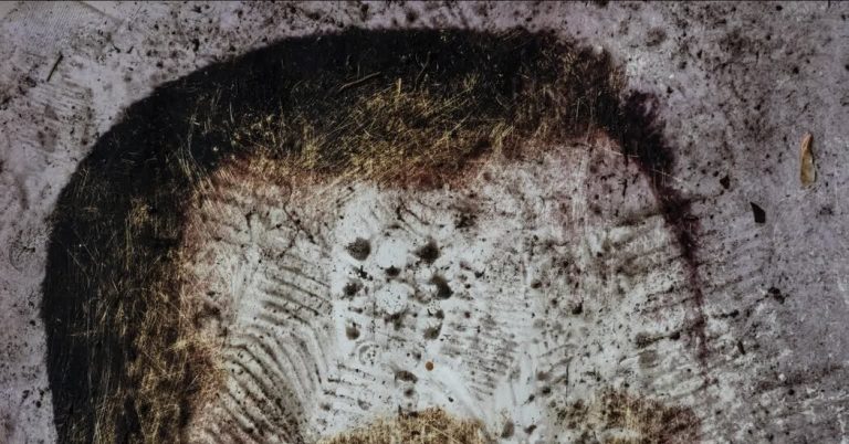 Assad Defaced: Syrians Destroy a Dictator’s Icons