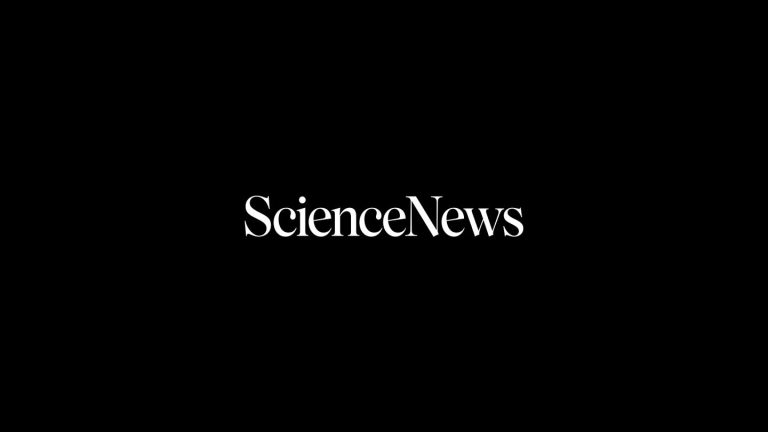 Seeking the anomalies that lead to discoveries
