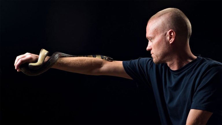 Tim Friede stands in the light with a snake on his arm