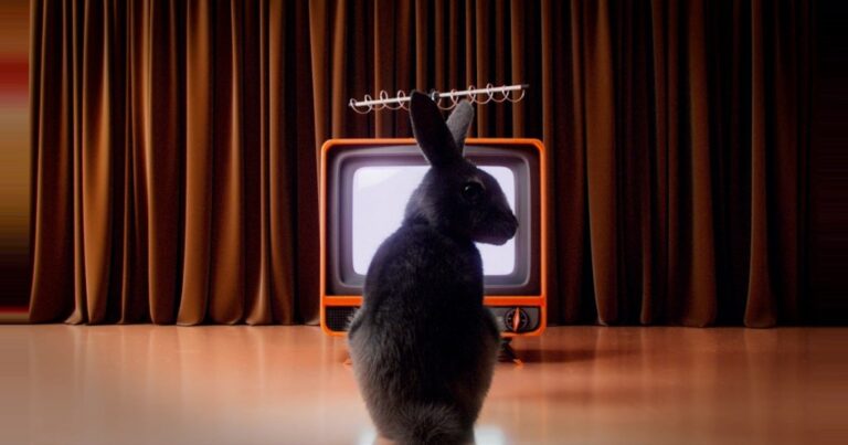 'Lone Wolf' Executive "No Longer Associated" With Backer Rabbits Black