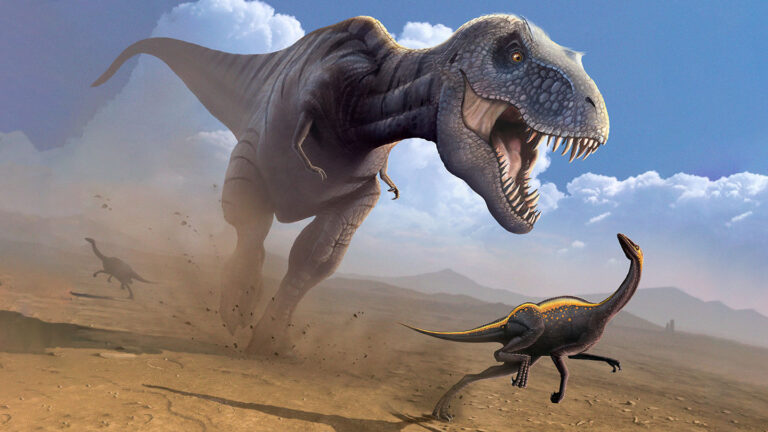 New clues about dino speed come from birds strutting through mud A T.rex chases a small dinosaur across a muddy flat.