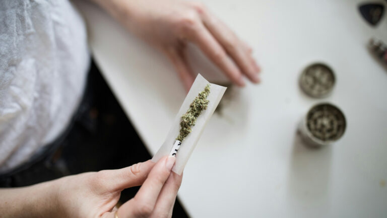 Chemicals in marijuana may affect women’s fertility A person holding marijuana on a white paper.