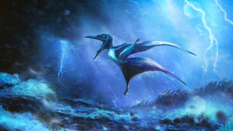 Young pterosaurs probably died in violent Jurassic storms An artist