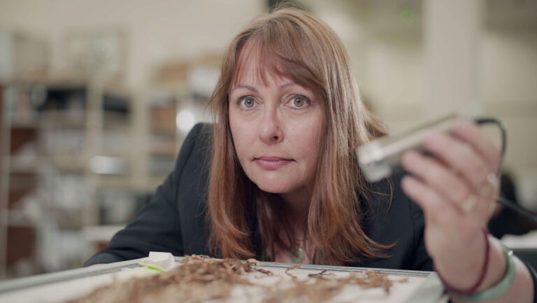 Knotted strands of 500-year-old hair tell a surprising story A researcher is shown holding a device over a tray of strings, an example of an Inca recordkeeping device called a khipu.