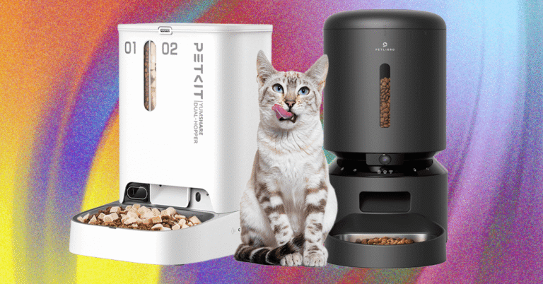 These 8 Automatic Cat Feeders Were the Best We Tested (2025) These 8 Automatic Cat Feeders Were the Best We Tested (2025)