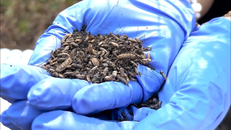 A new AI technique may aid violent crime forensics A new AI technique may aid violent crime forensics