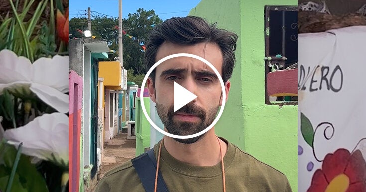Cleaning Bones for Day of the Dead Cleaning Bones for Day of the Dead