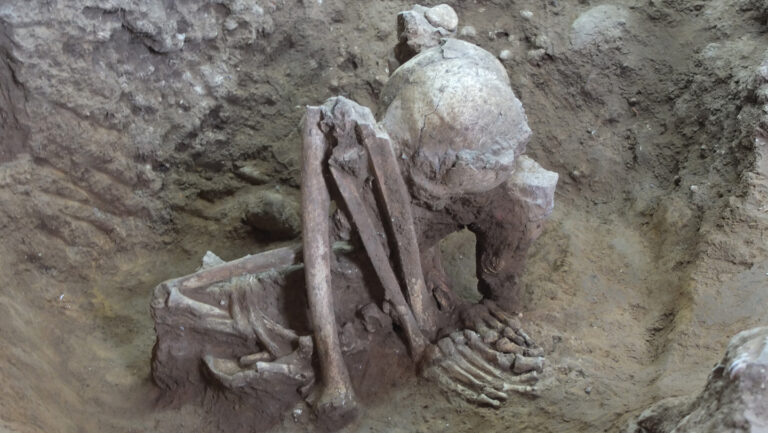 Smoke-dried mummies found in Southeast Asia are the oldest known A folded up skeleton with what looks like the knees near the skull sits on dirt. Researchers say it's an example of the oldest mummies every found.