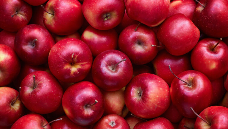 To our brains, your red is my red a bunch of red apples